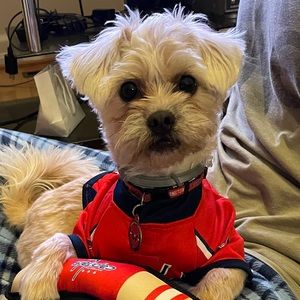 Meet your Posher, Phil